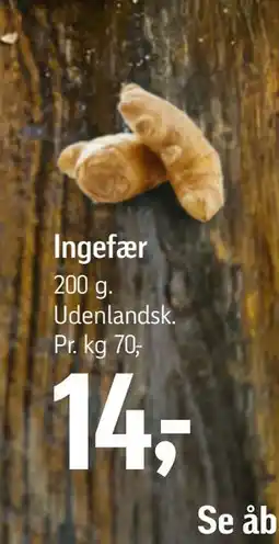 Føtex Ingefær tilbud