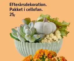 Føtex Efterårsdekoration tilbud