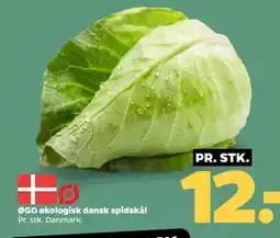 Netto ØGO økologisk dansk spidskål tilbud