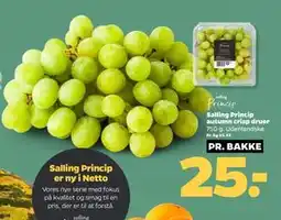 Netto Salling Princip autumn crisp druer tilbud
