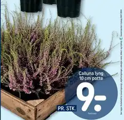 REMA 1000 Calluna lyng tilbud