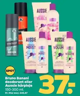 Netto Bruno Banani deodorant eller Aussie hårpleje tilbud