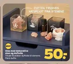 Netto Glas med dekorative sten og duftolie tilbud