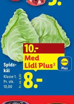 Lidl Spidskål tilbud