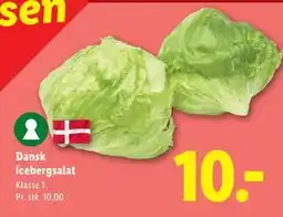 Lidl Dansk icebergsalat tilbud