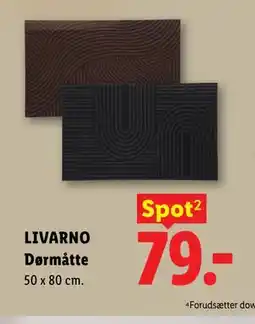 Lidl LIVARNO Dørmåtte tilbud