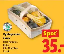 Lidl Pyntegræskar i kurv tilbud