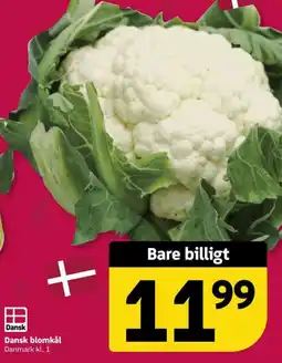 Løvbjerg Blomkål tilbud