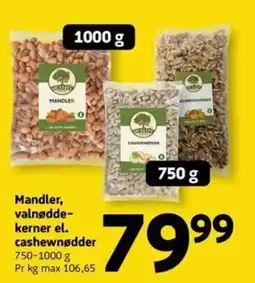 Løvbjerg Mandler, valnøddekerner el. cashewnødder tilbud