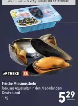 Citti THEKE Frische Miesmuscheln tilbud