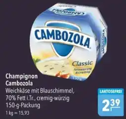 Citti Cambozola Champignon tilbud