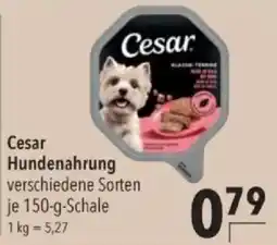 Citti Cesar Hundennahrung tilbud