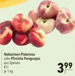 Citti Nektarinen Platerinas tilbud