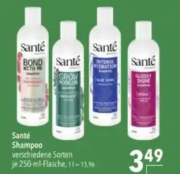Citti Sante Shampoo tilbud