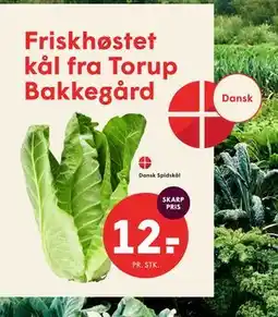 SPAR Dansk Spidskål tilbud
