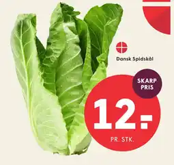 SPAR Spidskål tilbud