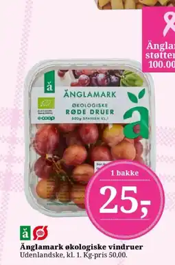 Dagli'Brugsen Änglamark økologiske vindruer tilbud