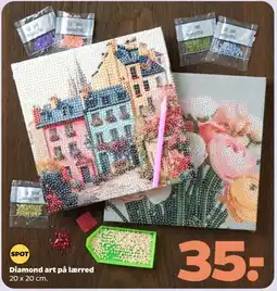 Netto Spot Diamond art på lærred tilbud
