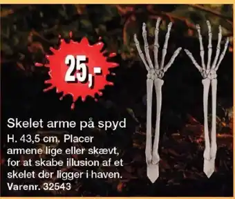 Harald Nyborg Skelet arme på spyd tilbud