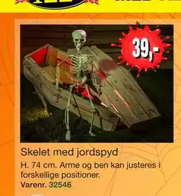 Harald Nyborg Skelet med jordspyd tilbud