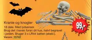 Harald Nyborg Kranie og knogler tilbud