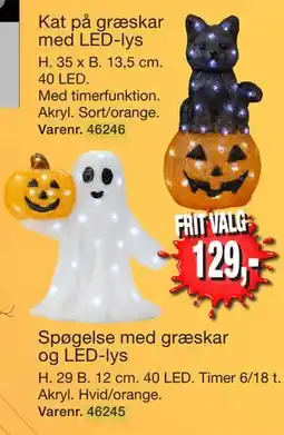 Harald Nyborg Kat på græskar med LED-lys tilbud
