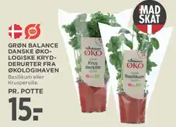 MENY Grøn Balance økologiske krydderurter tilbud