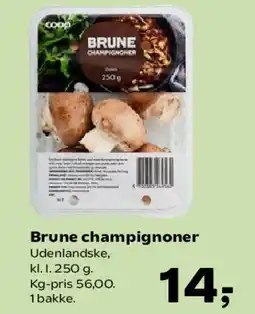 Kvickly Brune champignoner tilbud