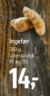 Føtex Ingefær tilbud
