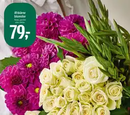 Føtex Afskårne blomster tilbud