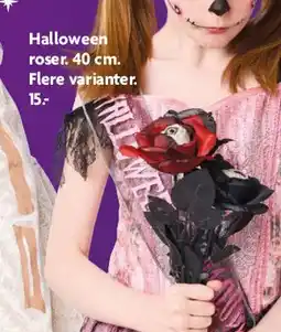 Fætter BR Halloween roser tilbud