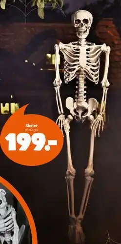 Fætter BR Skelet tilbud