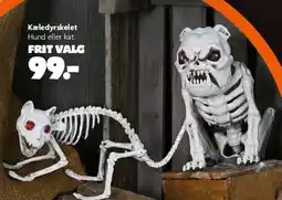 Fætter BR Kæledyrskelet tilbud
