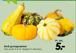 Bilka Små pyntegræskar tilbud