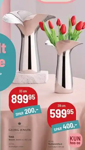 Vase Bloom