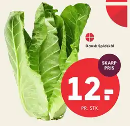 SPAR Dansk spidskål tilbud