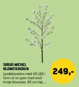 XL-BYG Sirius Michel blomstergren tilbud