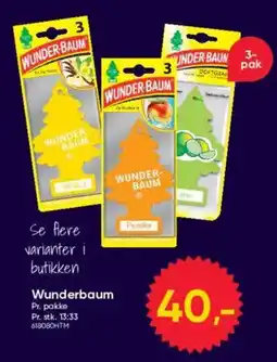 BigDollar Wunderbaum tilbud