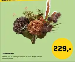 XL-BYG Autumn Buket tilbud