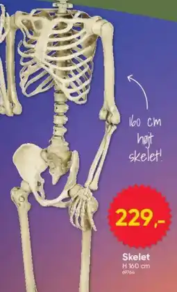 BigDollar Skelet tilbud