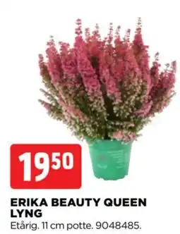 jem & fix Erika Beauty Queen Lyng tilbud