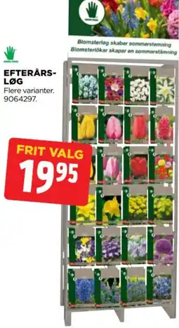 jem & fix Efterårs-løg tilbud