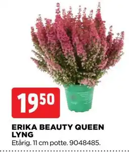 jem & fix ERIKA BEAUTY QUEEN LYNG tilbud