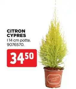 jem & fix CITRON CYPRES tilbud
