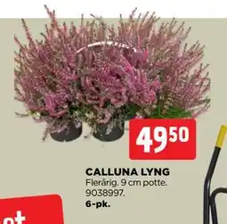 jem & fix CALLUNA LYNG tilbud