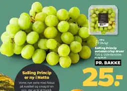 Netto Salling Princip autumn crisp druer tilbud