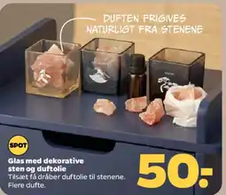 Netto Glas med dekorative sten og duftolie tilbud