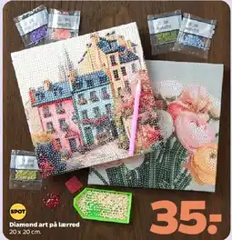 Netto Diamond art på lærred tilbud