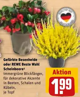 REWE DE REWE Beste Wahl Scheinbeere tilbud