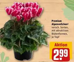 REWE DE Premium Alpenveilchen tilbud